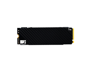 TWINMOS NV1TBG42280 M.2 1TB (7500/6800MB/s) PCIe + NVMe SSD Disk (Soğutuculu)