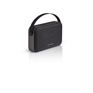 Thonet & Vander ZIEGEL TWS Bluetooth Speaker 30W Siyah - Taşınabilir - 30W RMS