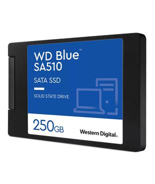 WD 250GB SATA BLUE 2,5 SSD