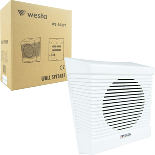 WESTA WS-1030T 13cm 70-100V Trafolu Beyaz Hoparlör