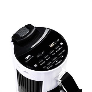 Westa WM-90PU Type-C 100 Watt Mayk Mikrofonlu USB-TF-Bluetooth Megafon