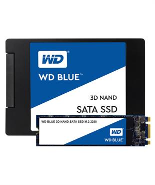 Western Digital Blue 250GB WDS250G2B0B SSD Disk