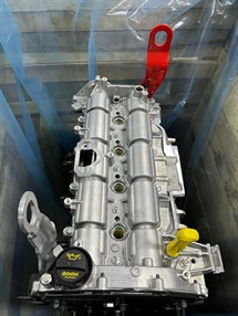 Ford Transit 2.0 Ecoblue (sandık) servis motoru Arka çeker