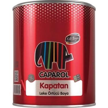 Filli Kapatan Leke Örtücü Boya