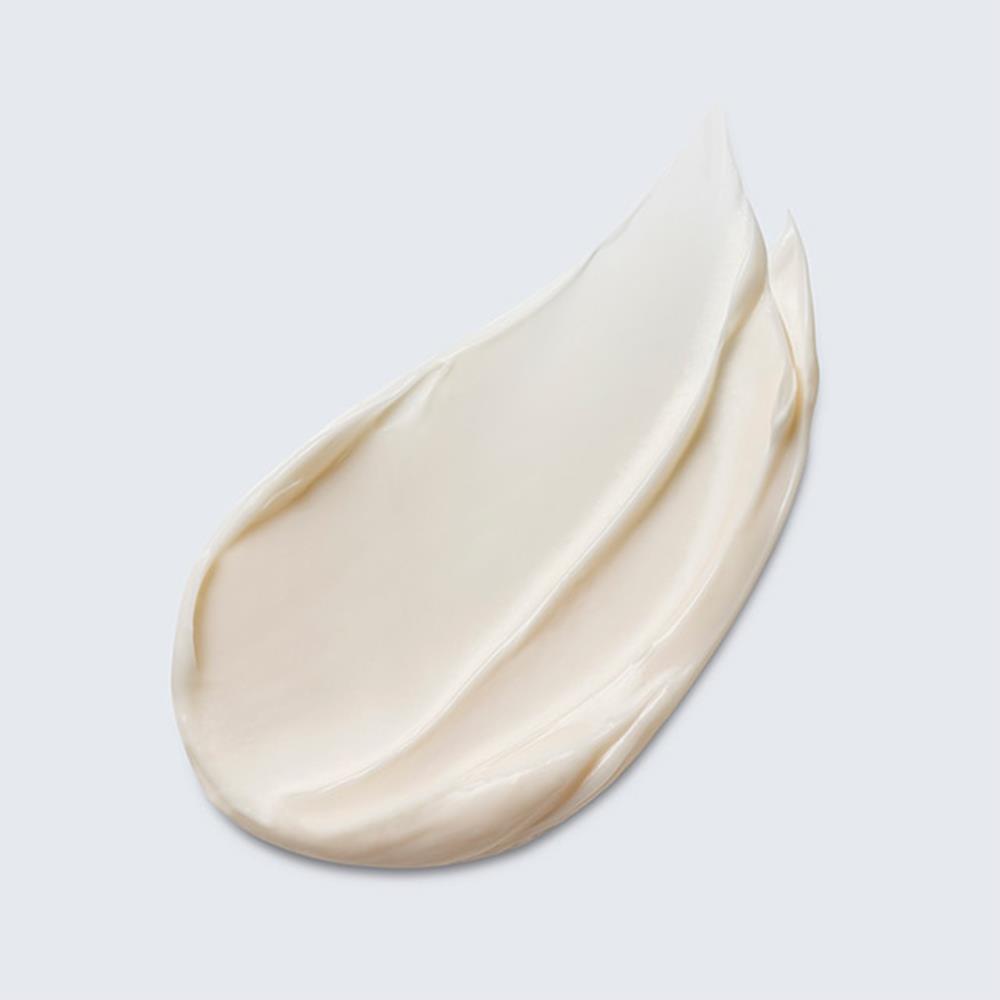 Estee LauderAdvanced Night Repair Overnight Treatment 65ml