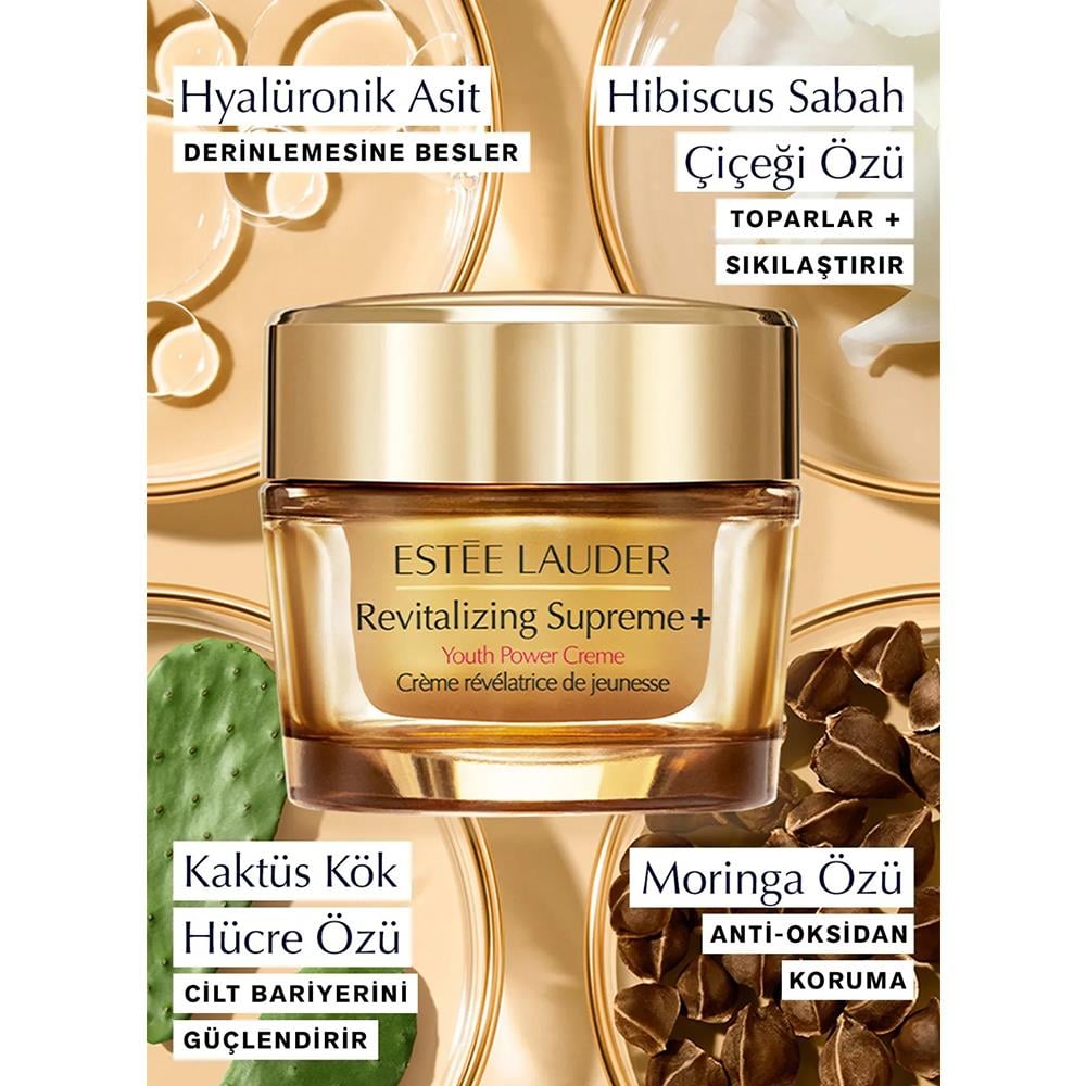 Estee LauderAdvanced Night Repair Serum & Revitalizing Supreme+ Night Cream Set