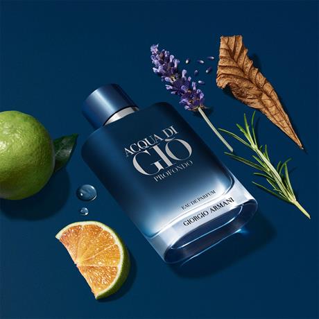 Giorgio Armani Acqua Di Gio Profondo Edp 100ml