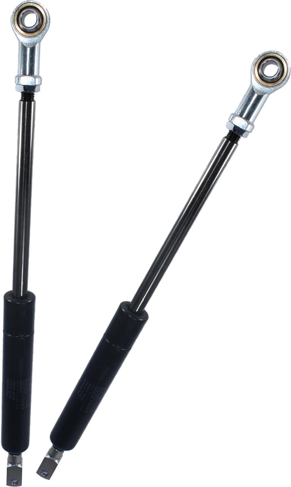 L 0009655738GAS SPRING '29X67X2600/5400