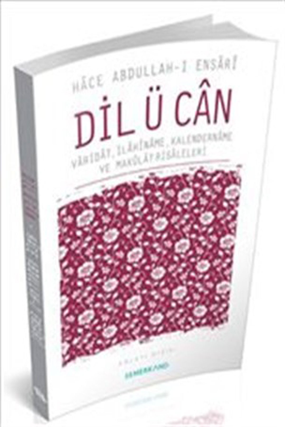 Dilü Can
