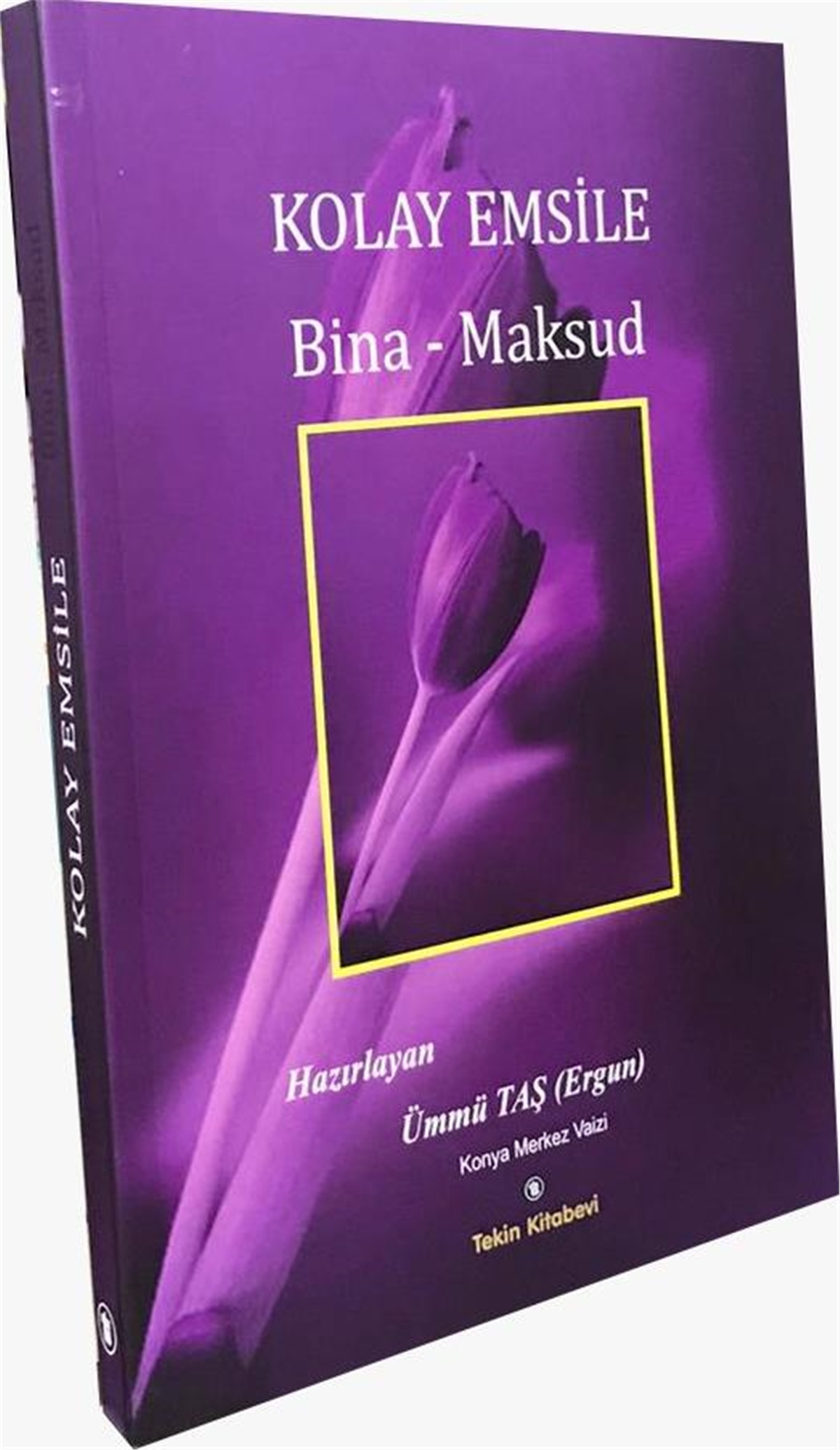 Kolay Emsile Bina MaksudTekin KitabeviArapça Dil Öğretimi