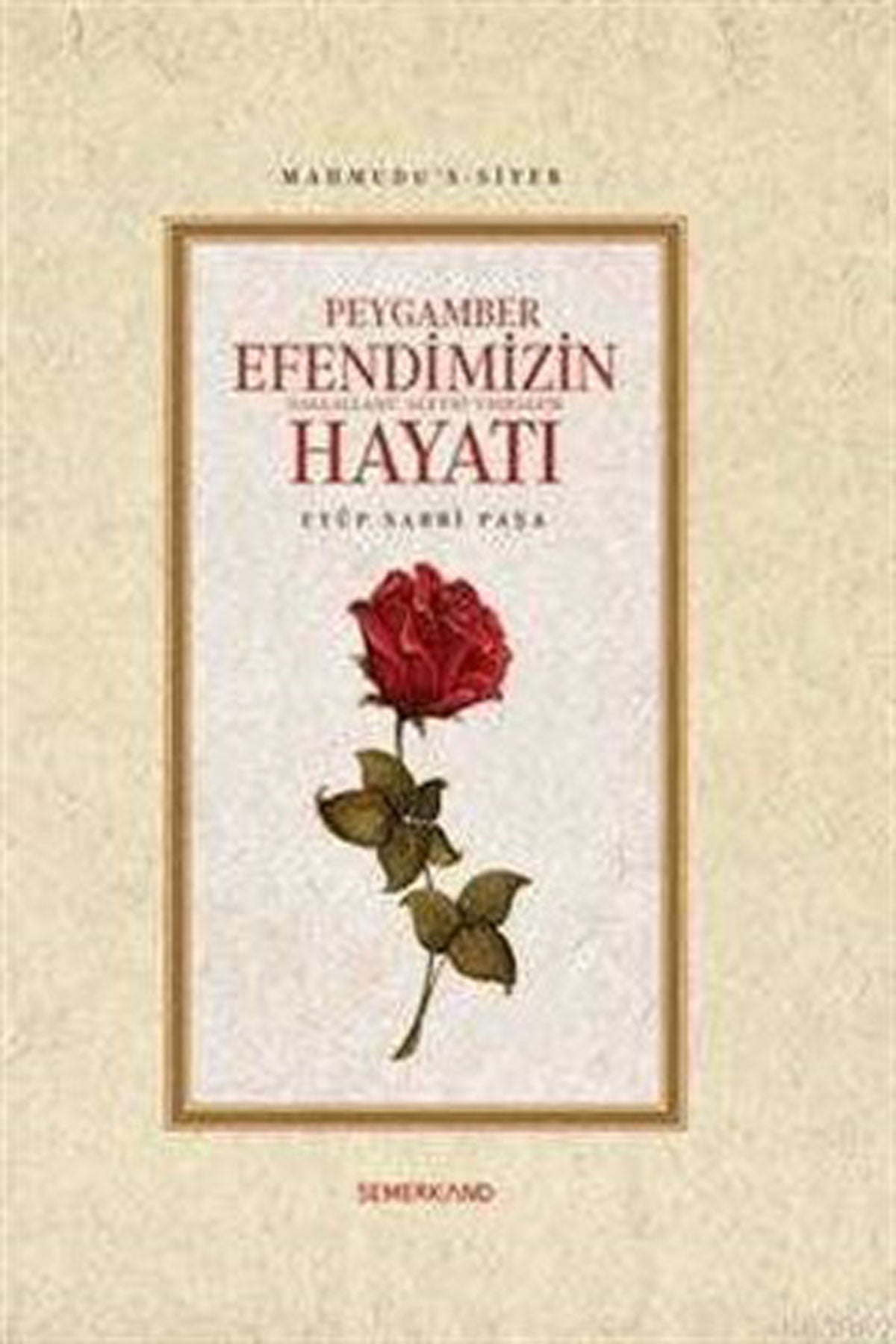 Peygamber Efendimizin Hayatı Sav. - Mahmudus Siyer