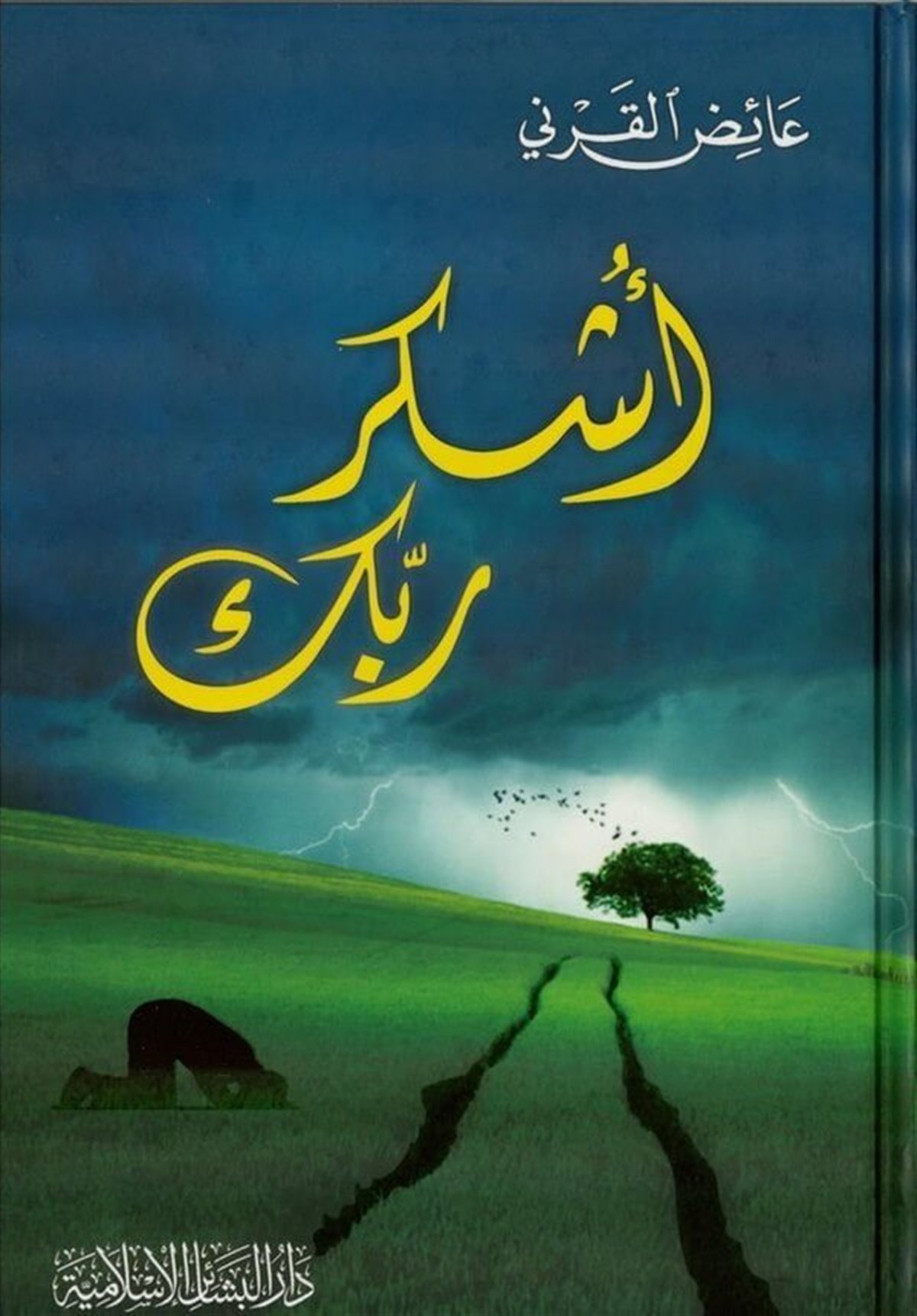 Üşkür Rabbek 1Cilt | أشكر ربكDar'ül Beşairil İslamiyyeAhlak