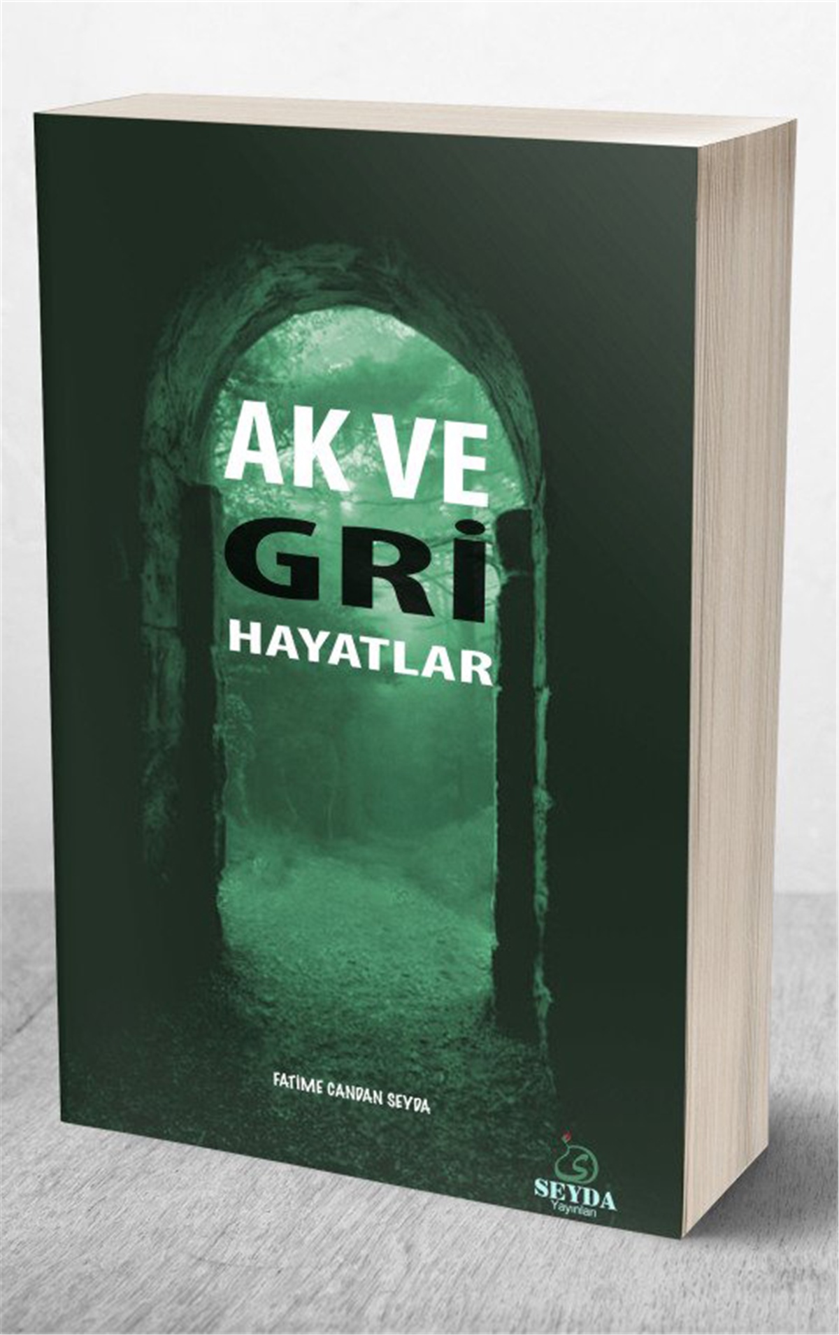 Ak Ve Gri HayatlarSeyda YayıneviHikaye ve Roman
