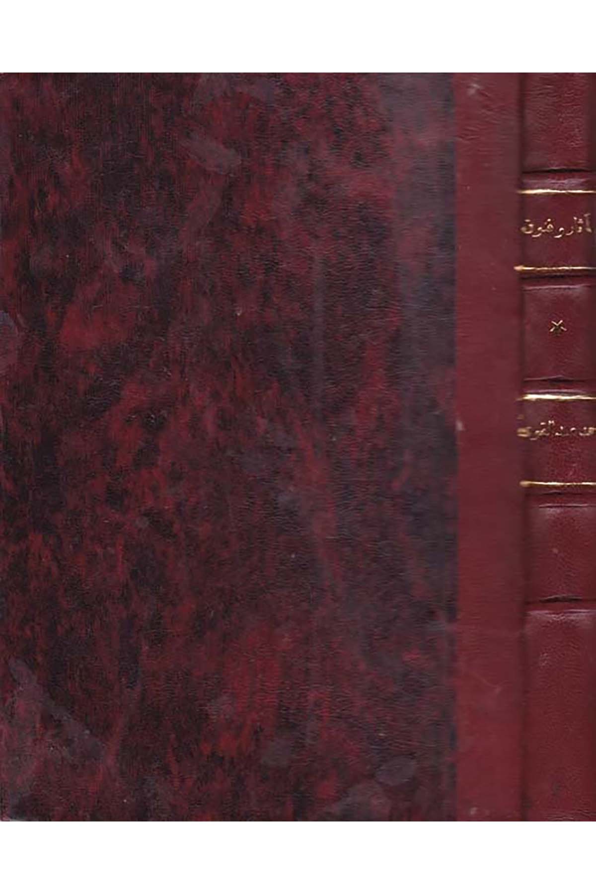 Asar ve Fünunu Medineti'l-Behnesa - آثار وفنون مدينة البهنسا في العصر الإسلامي el-Hey'etü'l-Mısriyyeti'l-Amme li'l-Kitab - الهيئة المصرية العامة للكتابFen Bilimleri