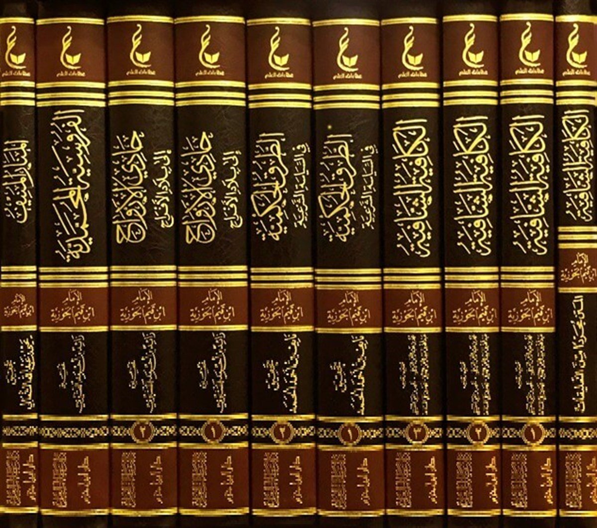 Asarü'l-İmam İbn Kayyim el-Cevziyye (8-12) - آثار الإمام ابن قيم الجوزية وما لحقها من أعمالDar'ül İbn HazmTasavvuf