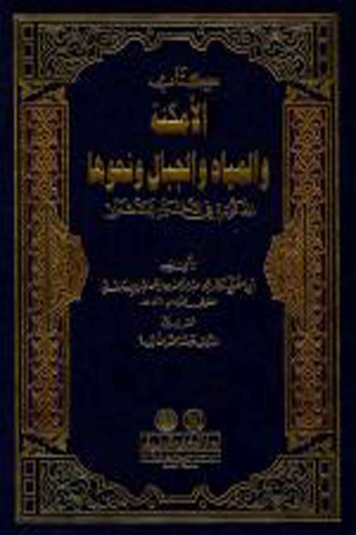 El Emkine Vel Miyah Vel Cibal Ve Nahveha El Mezkur Fil Ahbar Vel EşarDarü'l-Kütübi'l-İlmiyyeCoğrafya
