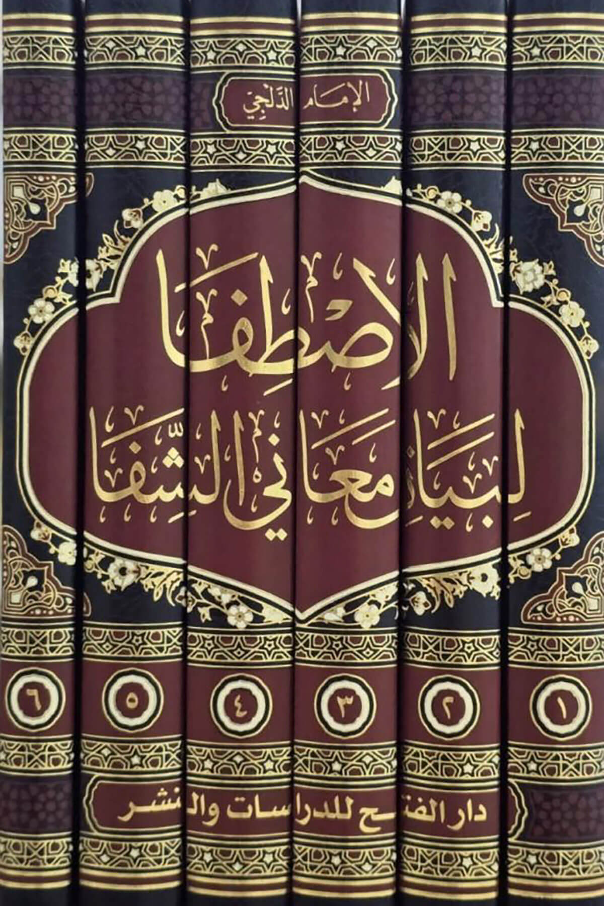 El Istifa Li Beyani Meanil Şifa 6 Cilt- الاصطفا لبيان معاني الشفاDarül Feth Lid Dirasat Ven NeşrSiyer