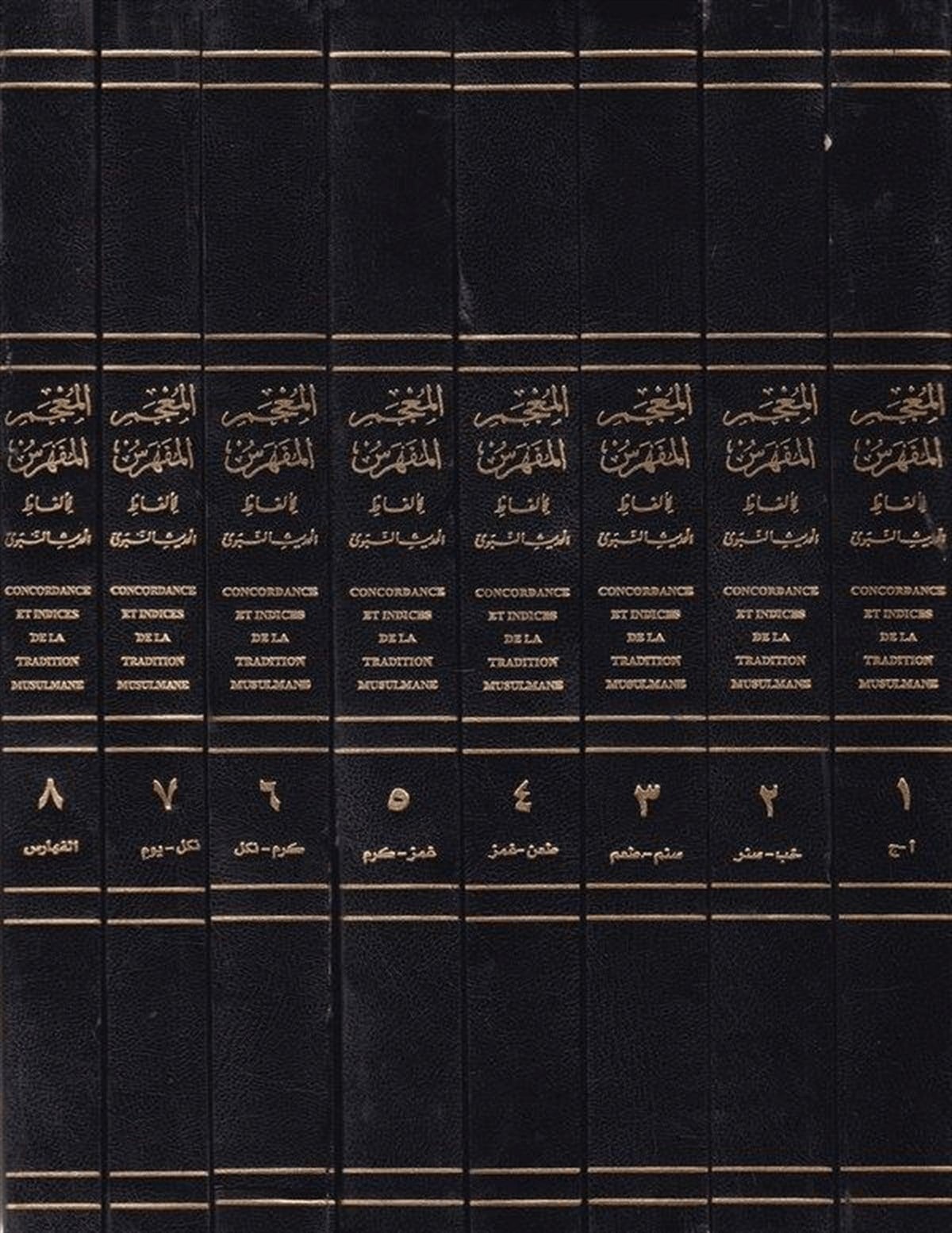 El Mucemül Müfehres Li Elfazil Hadisin Nebevi 8 Cilt | المعجم المفهرس لألفاظ الحديث النبوي الشريفDar'ül İhya TurasHadis
