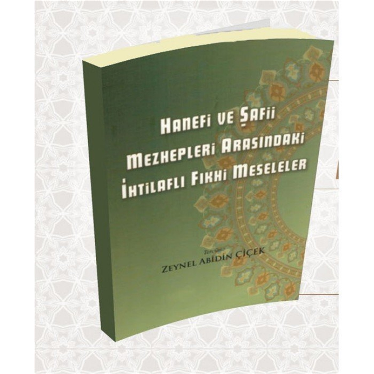 Hanefi Ve Şafii Mezhepleri Arasındaki İhtilaflı Fıkhi MeselelerSeyda YayıneviFıkıh