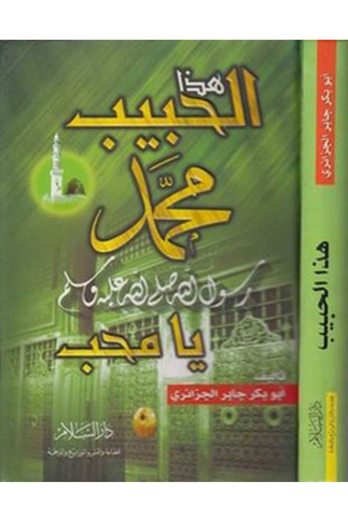 Hazal Habib Muhammed Resulullah (S.A.V.) Ya Muhib-هذا الحبيب محمد رسول الله (ص) يامحبDarüs SelamSiyer