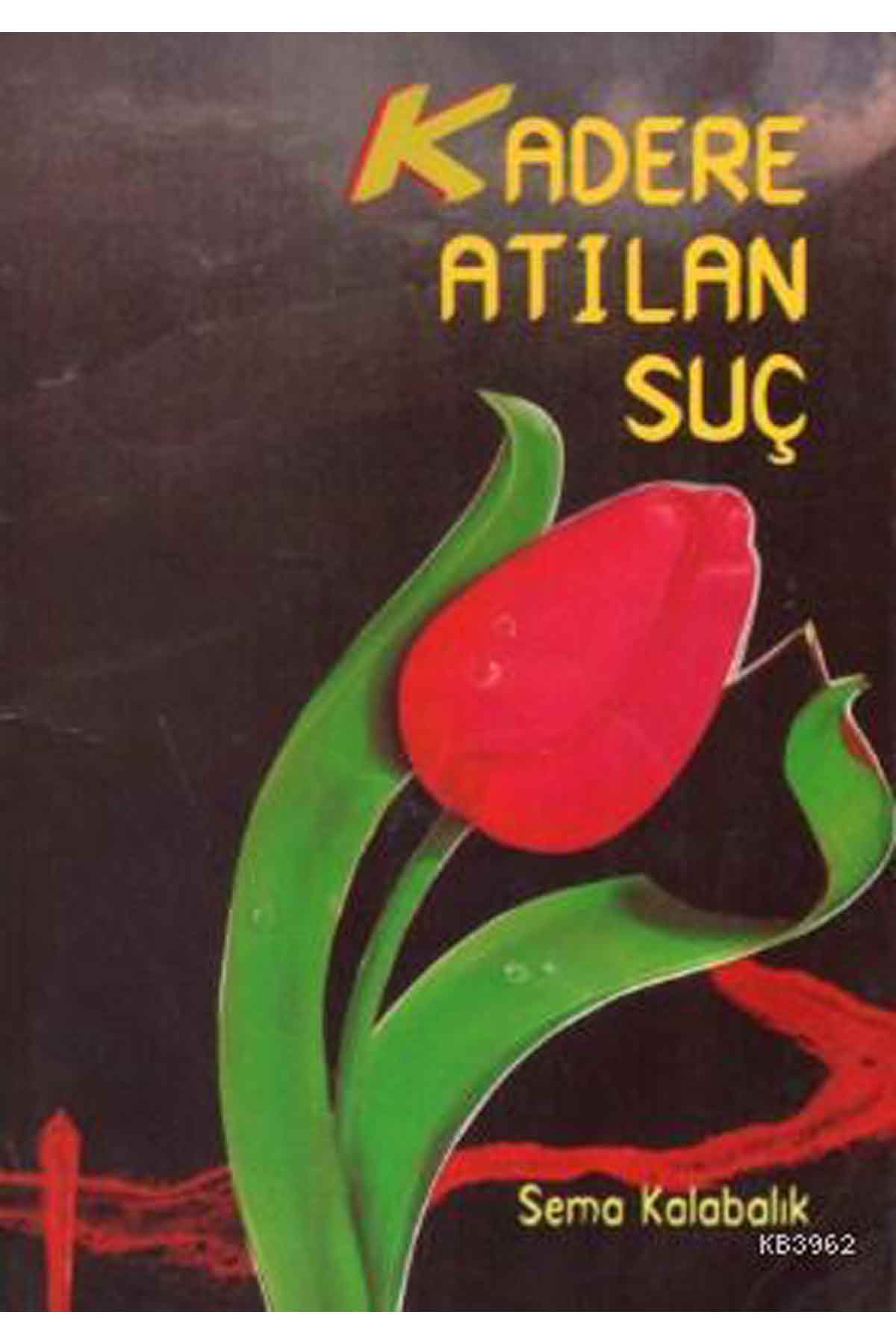 Kadere Atılan Suç Ravza YayınlarıMuhtelif Ürünler