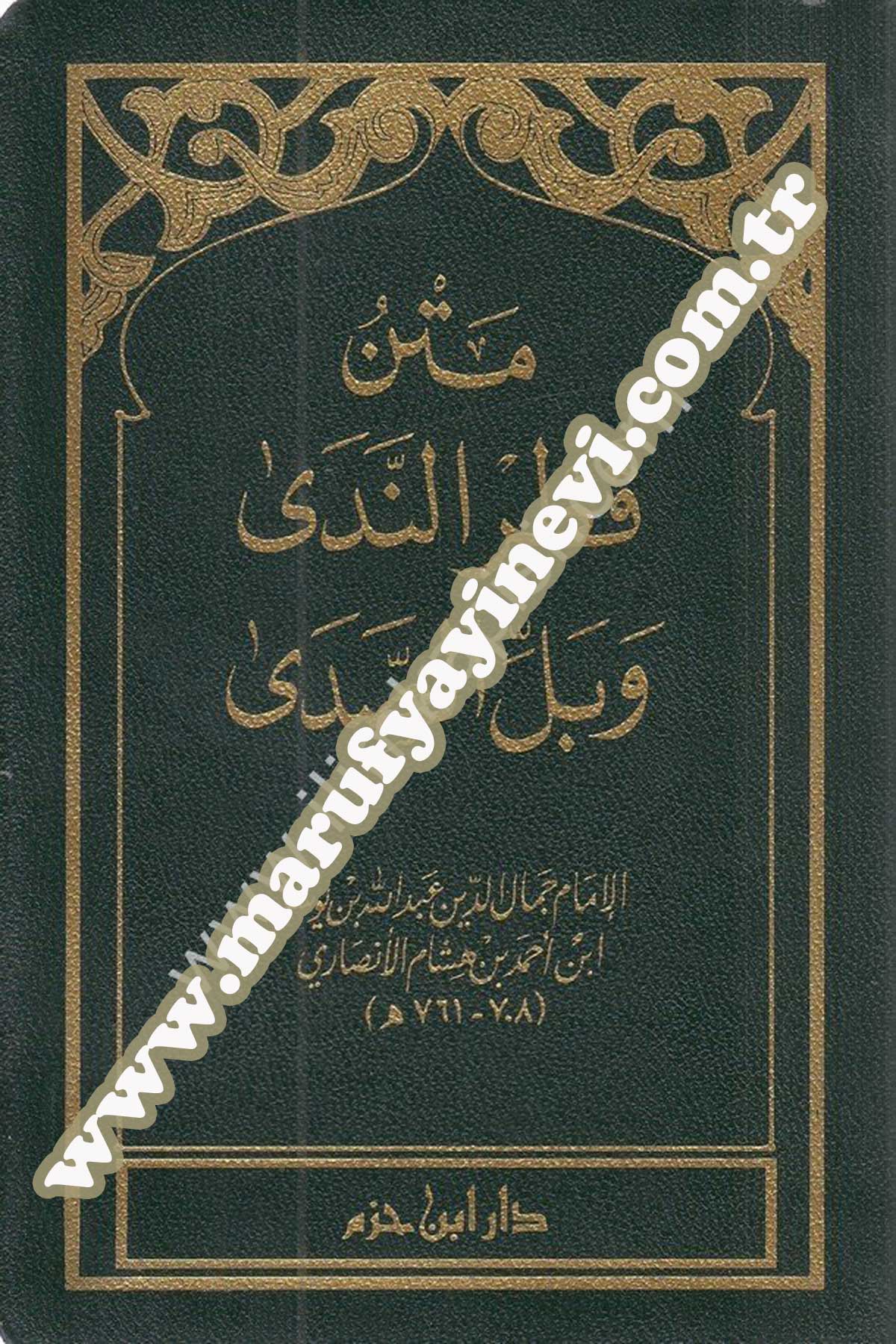 متن قطر الندى وبل الصدى