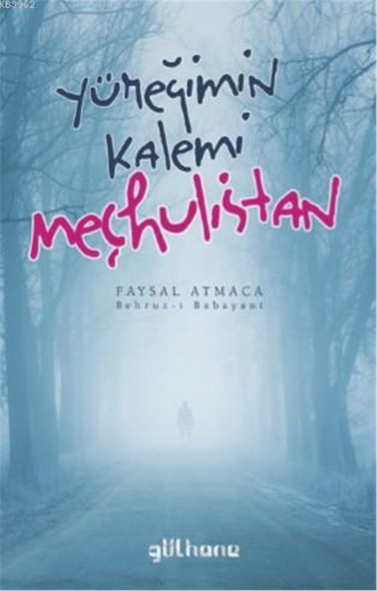 Yüreğimin Kalemi Meçhulistan