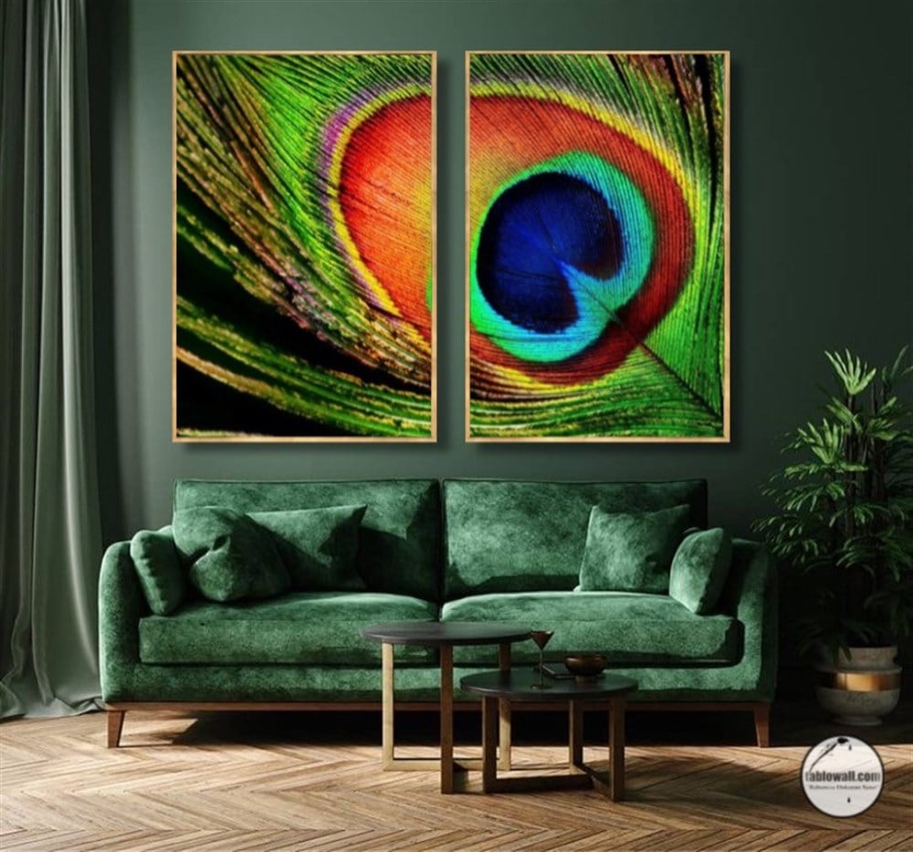 PEACOCK FEATHER ÇERÇEVELİ 2'Lİ YAĞLI BOYA DOKULU TABLO