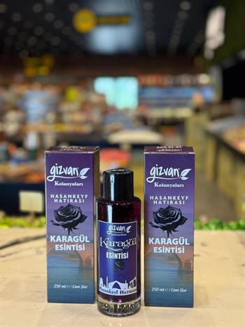 GİZVAN KARAGÜL KOLONYASI