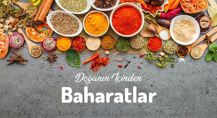 Baharatlar