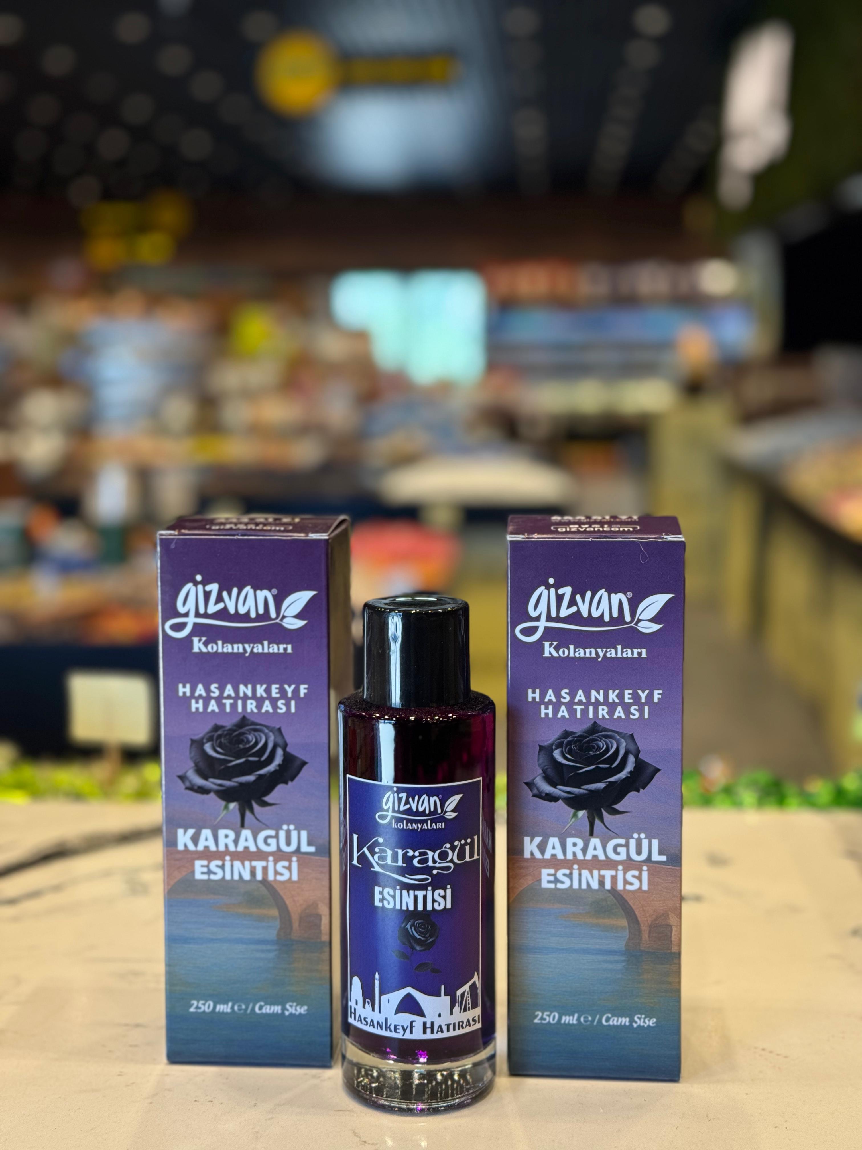 GİZVAN KARAGÜL KOLONYASI