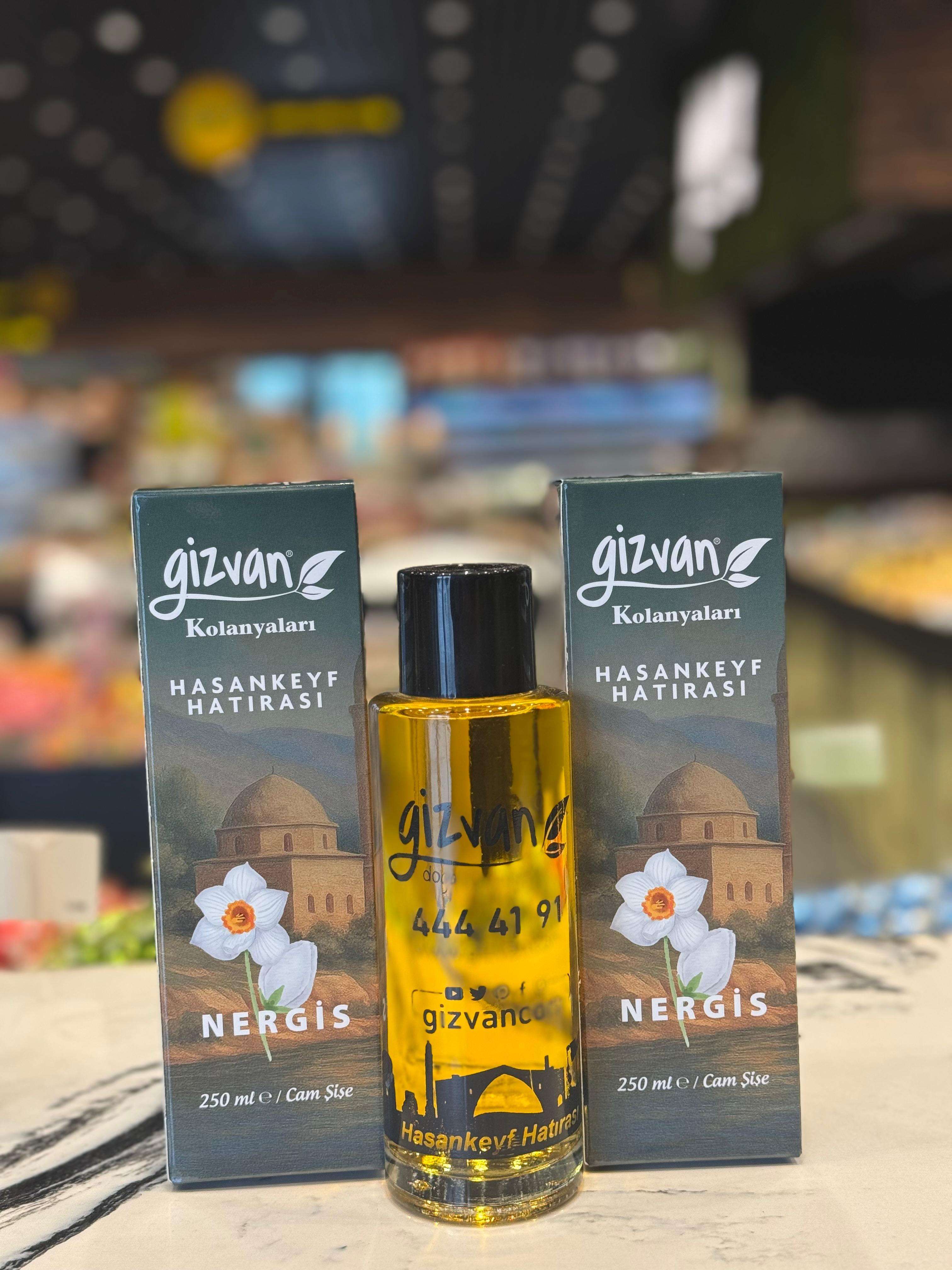 GİZVAN NERGİS KOLONYASI