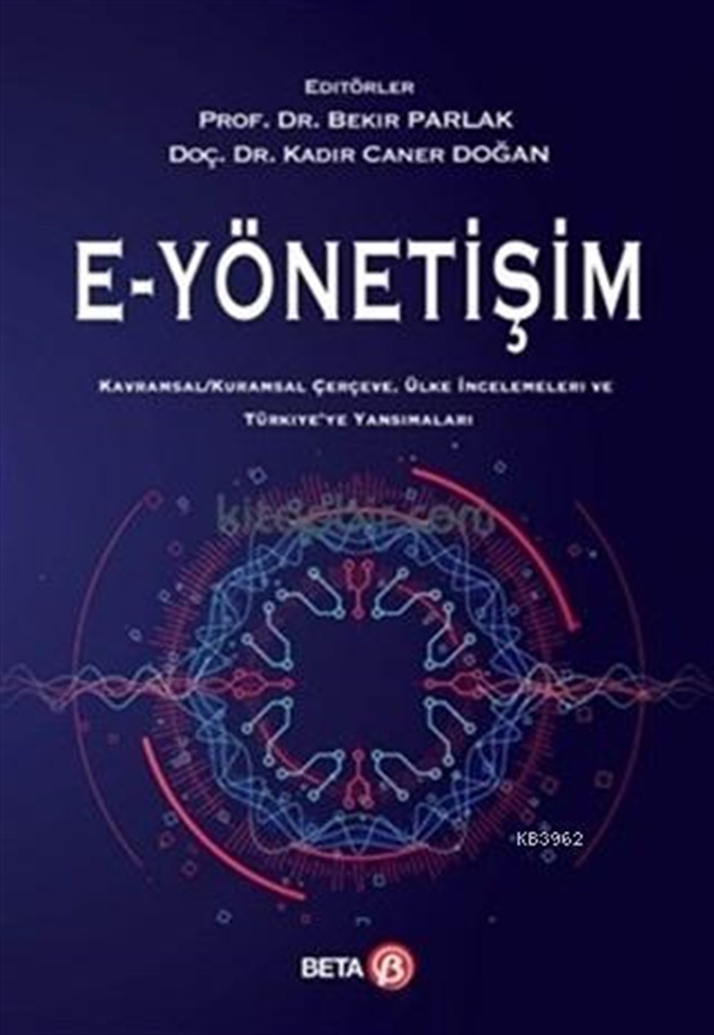 E - Yönetişim; Kavramsal - Kuramsal Çerçeve, Ülke İncelemeleri ve Türkiye'ye Yansımaları