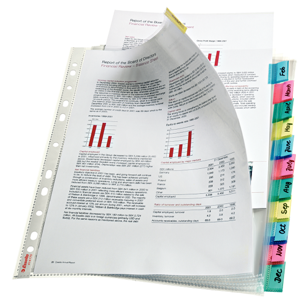Esselte Ayraç İndex Poşet Dosya Ayraçlı 12 Lİ 414170