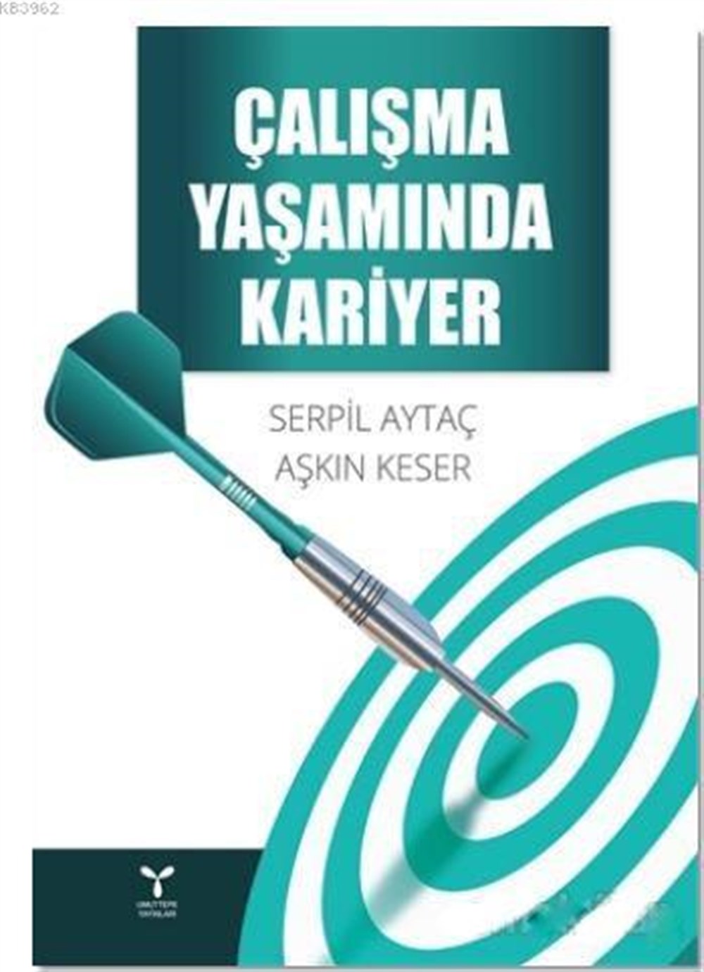 Çalışma Yaşamında Kariyer