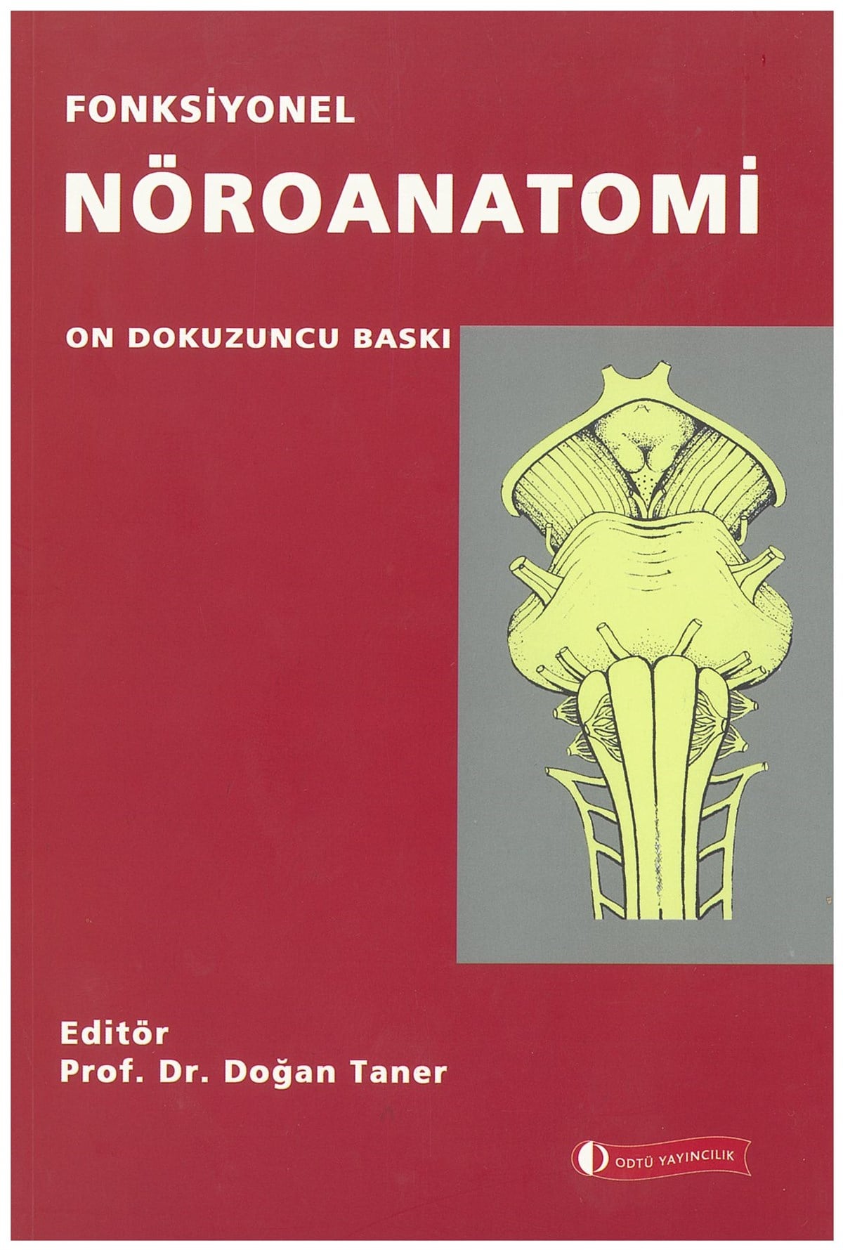 Fonksiyonel Nöroanatomi