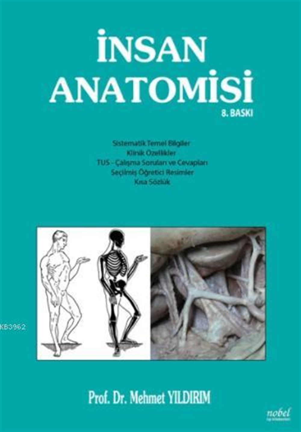 İnsan Anatomisi