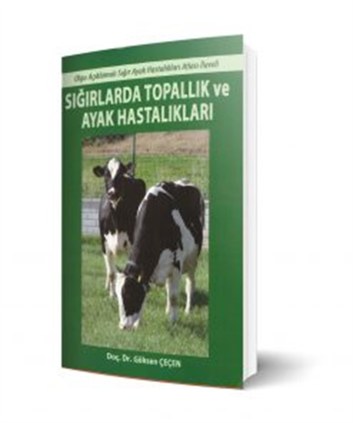 Sığırlarda Topallık ve Ayak Hastalıkları; Olgu Açıklamalı Sığır hastalıkları Atlası İlaveli