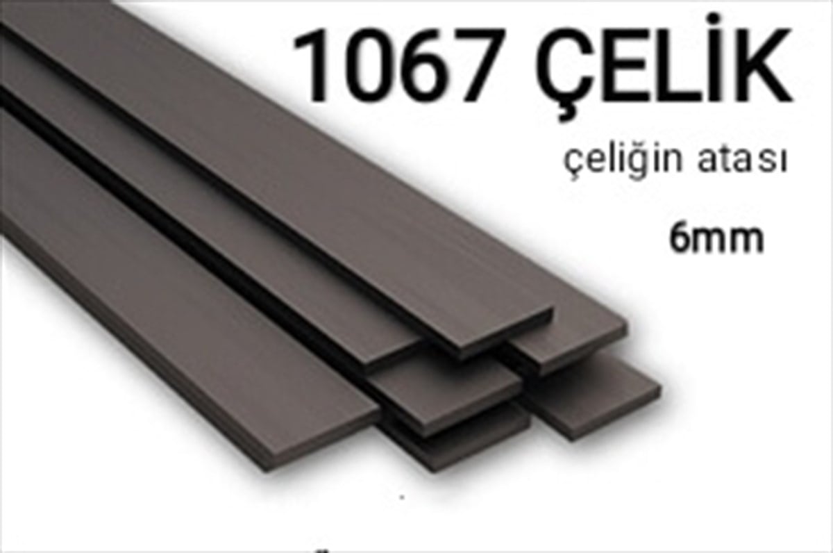 1067 Karbon Çelik lama 6 mm