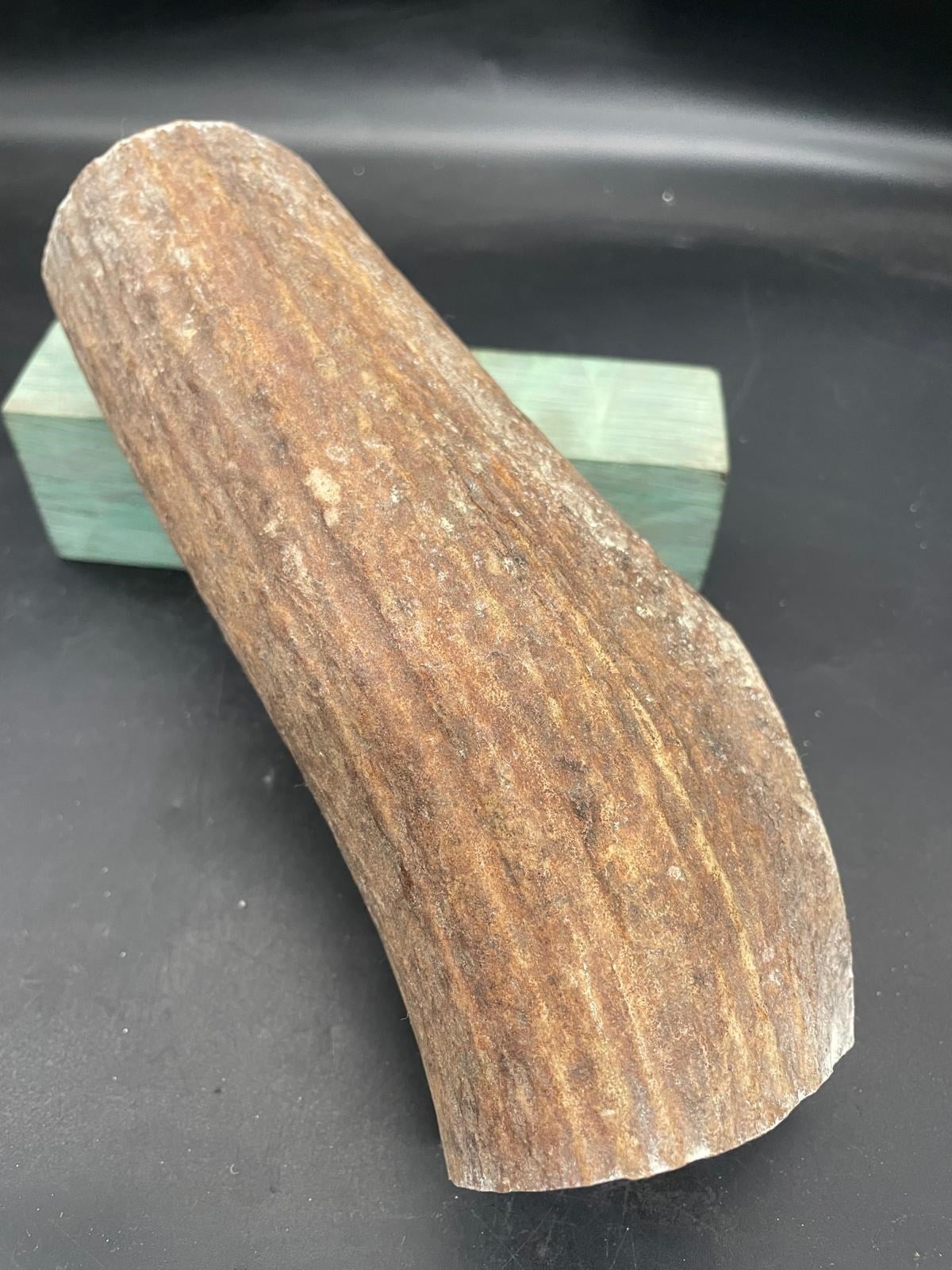 Geyik Boynuzu - 4