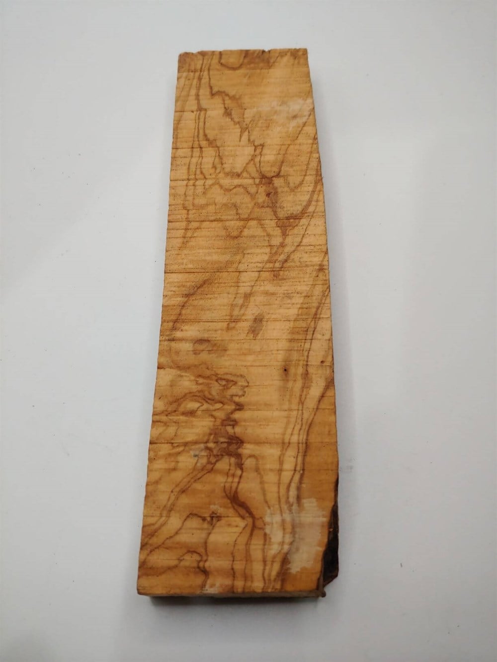 ZEYTİN AĞACI-1