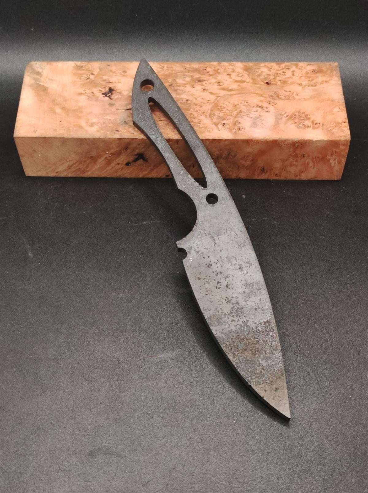 EDC MODEL SLEIPNER 20