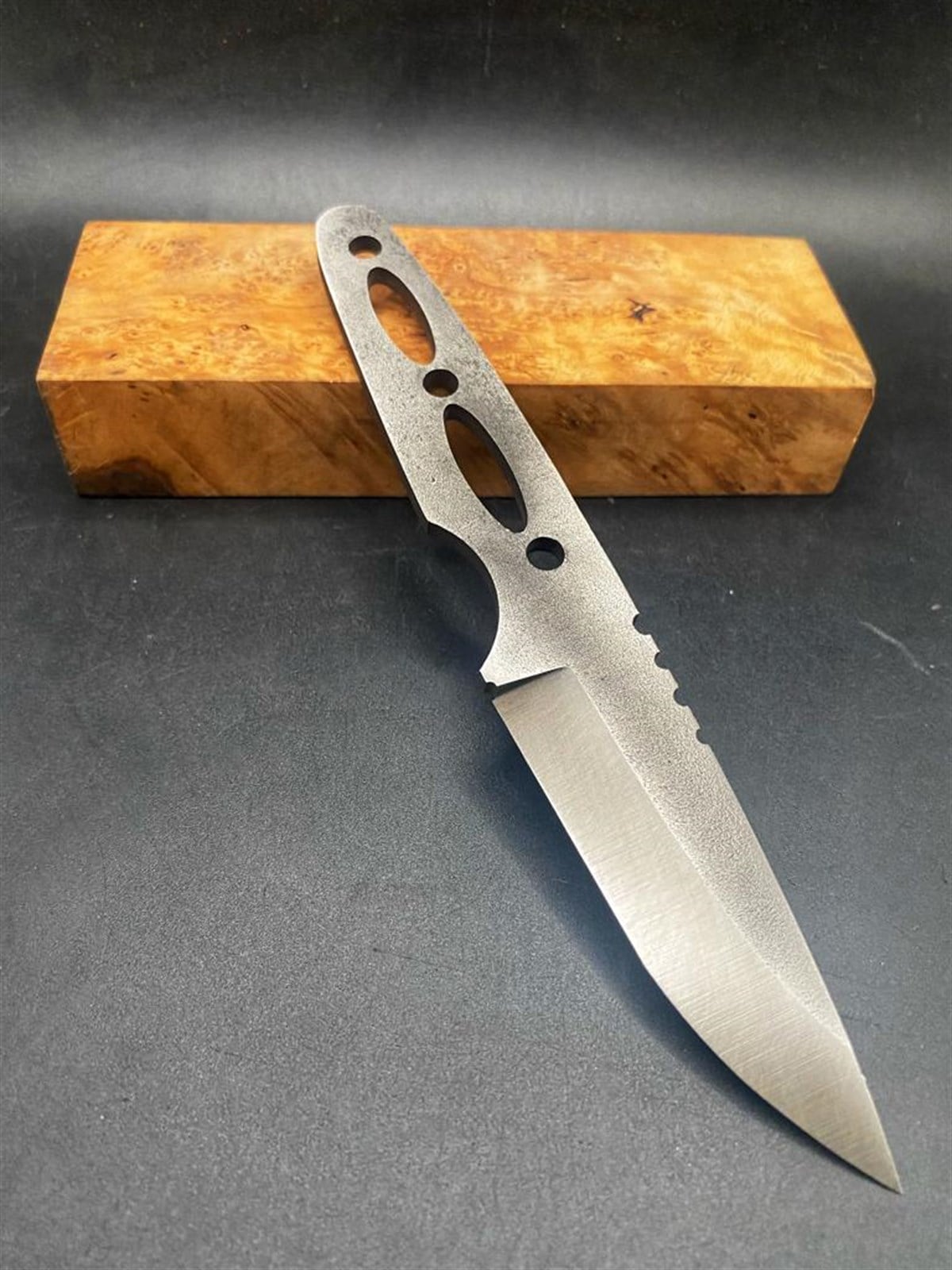 EDC MODEL SLEIPNER 22