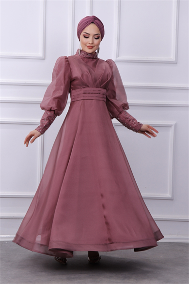 Kolu Ve Yakası Taşlı Abiye Pudra