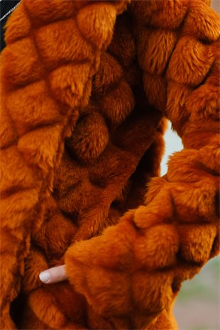Peluş Kaban