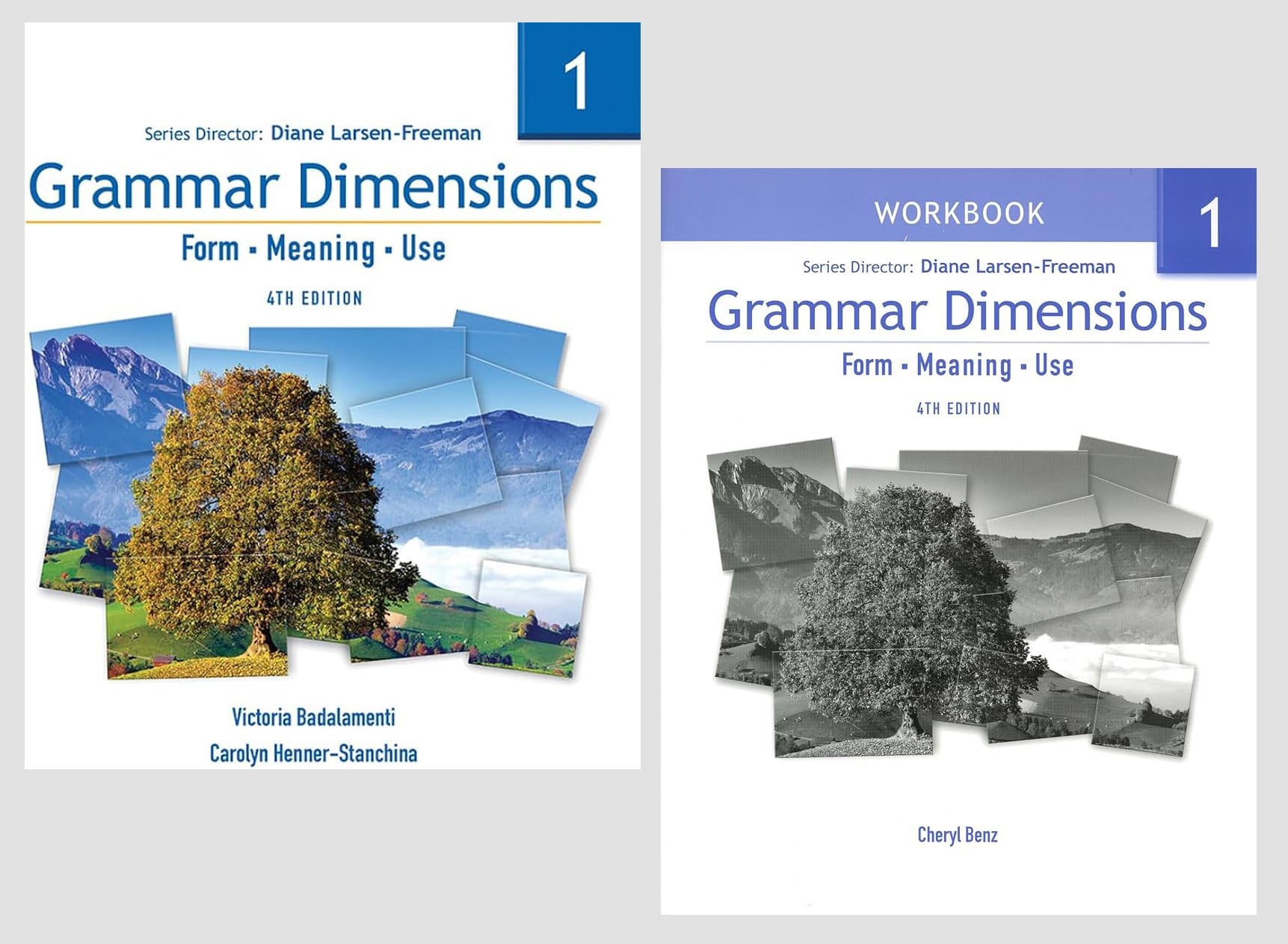 Grammar Dimensions 1: Form, Meaning, Use (4th ed.) + Workbook + Audios