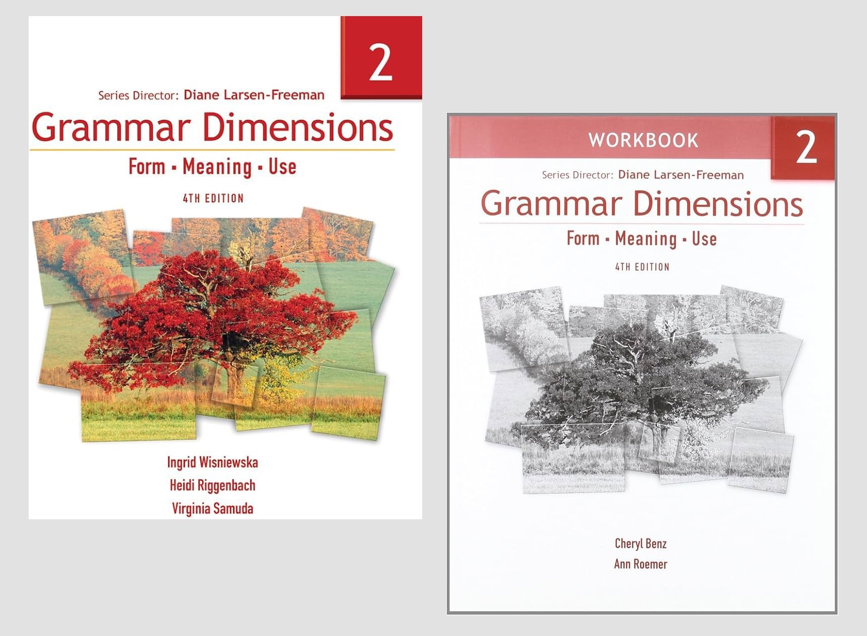 Grammar Dimensions 2: Form, Meaning, Use (4th ed.) + Workbook + Audios