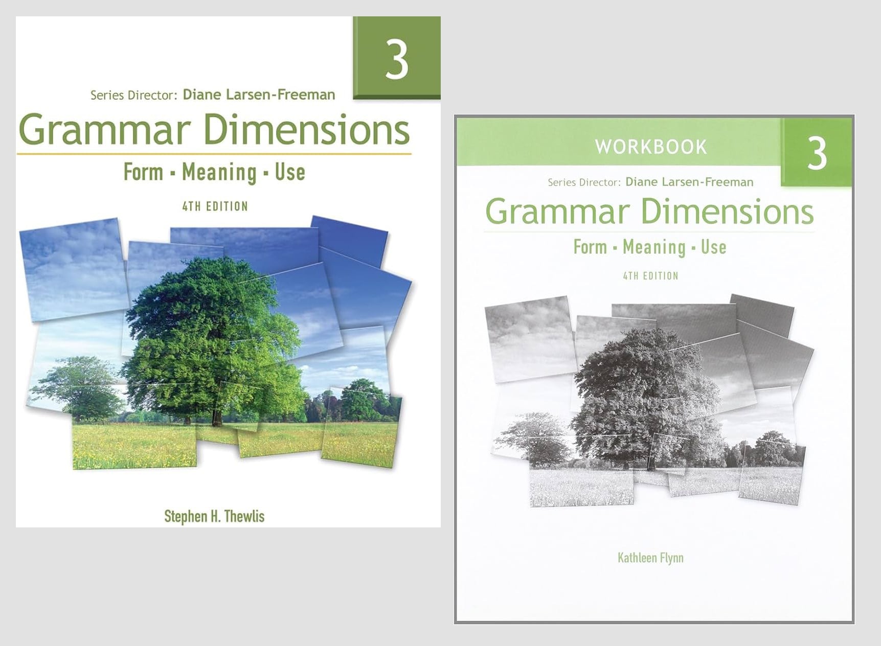 Grammar Dimensions 3: Form, Meaning, Use (4th ed.) + Workbook + Audios