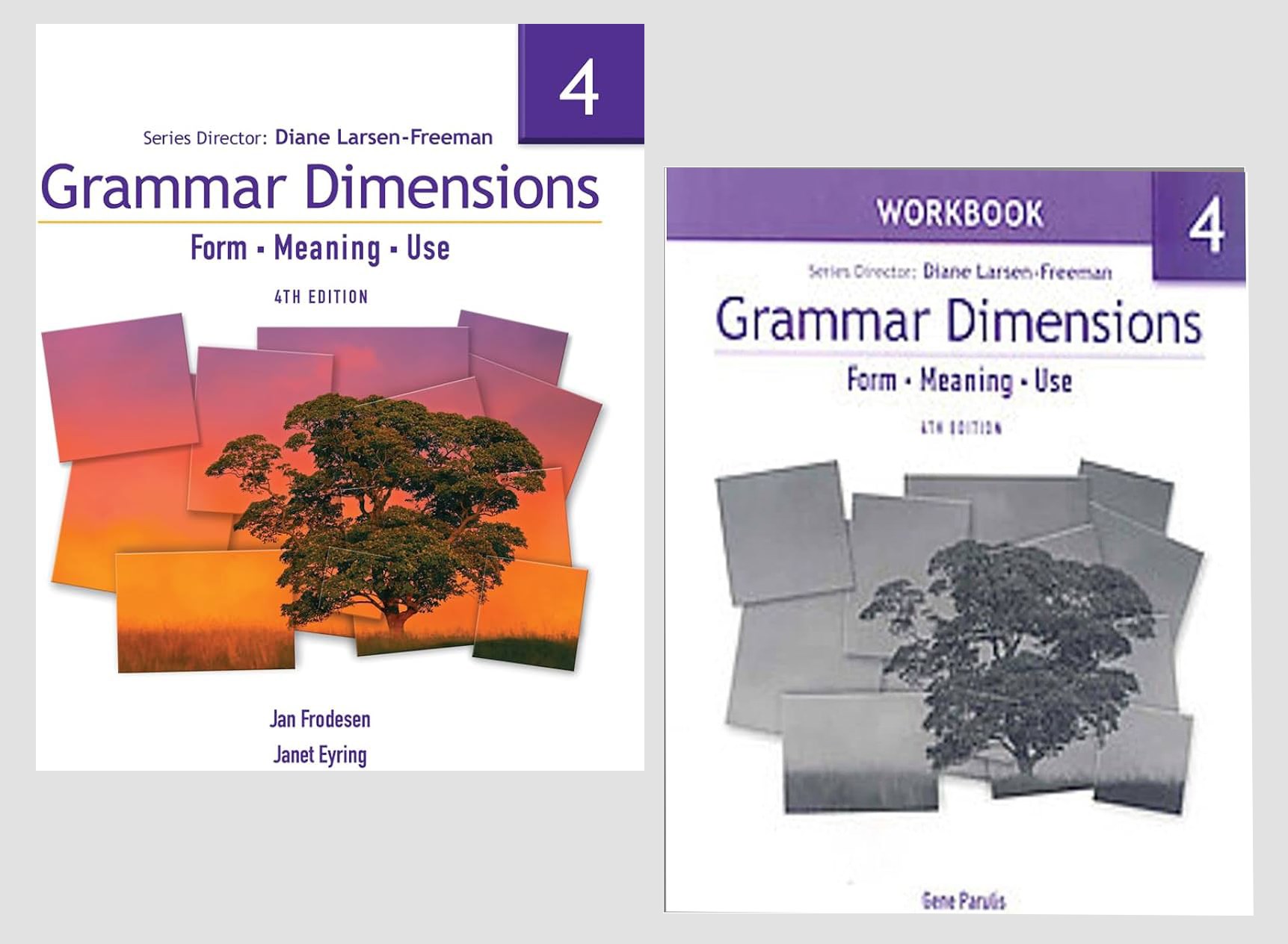 Grammar Dimensions 4: Form, Meaning, Use (4th ed.) + Workbook + Audios