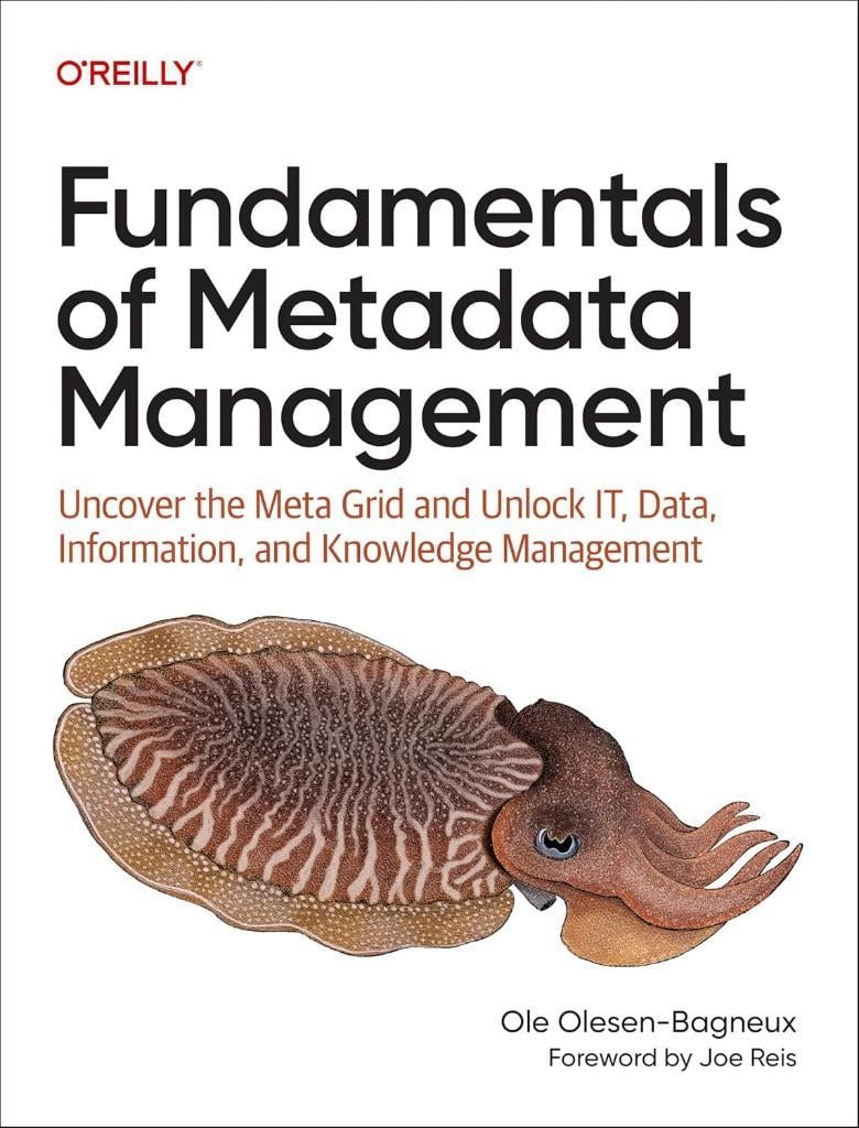Fundamentals of Metadata Management: Uncover the Meta Grid and Unlock IT, Data, Information, and Knowledge Management Ole Olesen-Bagneux